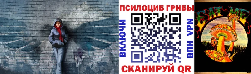 кракен сайт  Новая Ладога  Галлюциногенные грибы мицелий  где купить наркотик 